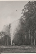 Poplar groves use of pesticides with atomizers