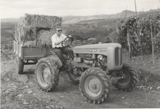 Fiat 241 R tractor with double traction