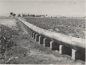 Land reclamation works near Paestum