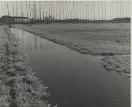 A ditch irrigating a field