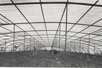 Greenhouse made with plastic materials