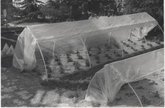 Greenhouse made with plastic materials