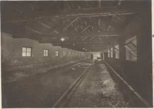 Experimental Mountain pasture the stable