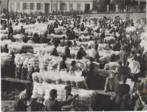 Flower market in Sanremo