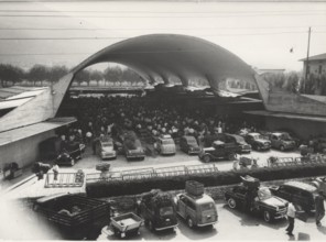 Flower market in Pescia