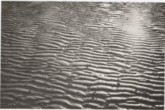 Low tide on Marina di Ravenna beach