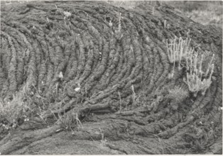 Lava flow on Vesuvius slopes