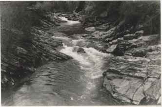 Nummulitic limestones