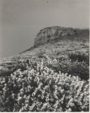 Frost on Monte Nevoso