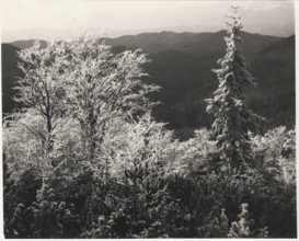 Frost on Monte Nevoso