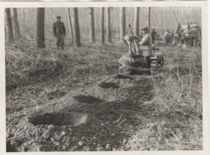 Arboricolture drills digging holes