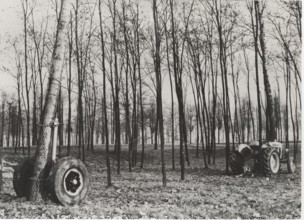 Deforestation with a cradle truck