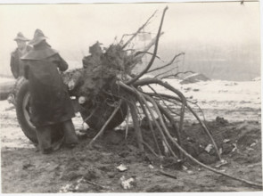 Deforestation with a cradle truck