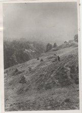 Land reclamation works the removal of stones and grit from a mountain pasture