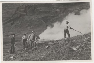 Land reclamation works deforesting a mountain pasture
