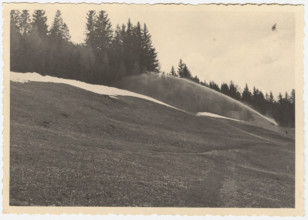 Fertigation causes the snow to melt and destroys the moss