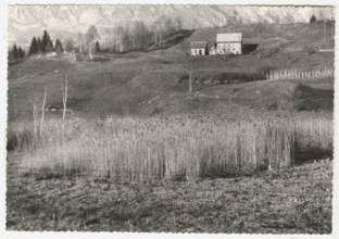 Cadol the marsh before the land reclamation works