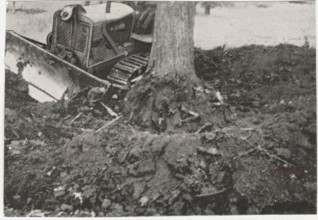 Reforestation works the socalled groana soil in Tradate, Italy