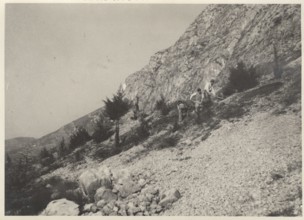 Reforestation works in Bergamo Italy