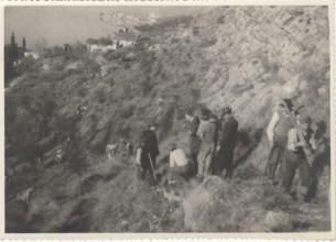 Reforestation works in Bergamo Italy