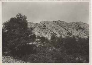 Mount Puccio reforestation works