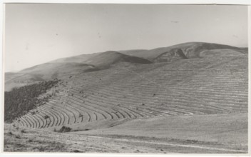 Reforestation works in Foligno, Italy