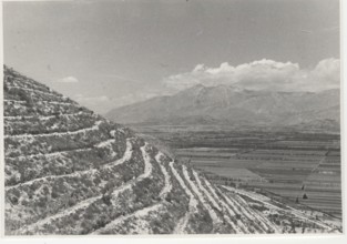 Luco dei Marsi reforestation