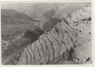 Reforestation works in Abruzzo