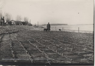 Po River land reclamation works