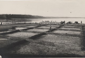 Po River land reclamation works, the protection of the riverbank