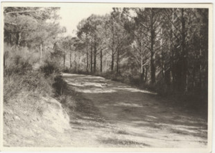 Agro Palermitano a new road crossing recently seeded fields. Palermo, Sicily, Italy