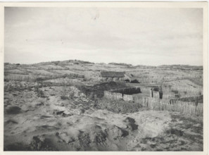 Dune fixation works. Balestrate, Italy