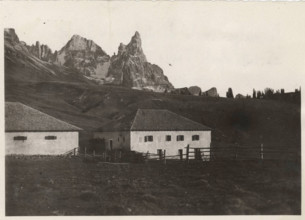 Alpine Pasture in Juribello, Passo Rolle, Italy,