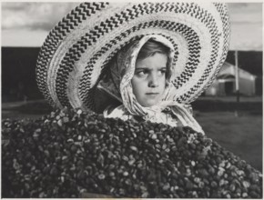 A young Brazilian farmer selecting the ripest coffee beans