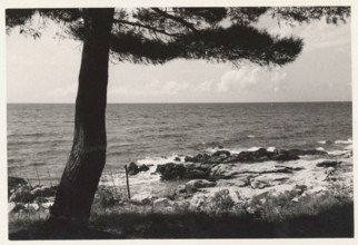 Cliff. Salvore, Croatia,