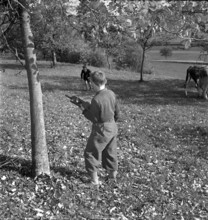 Boys with military radio set Handy-Talkie, Oensingen 1949.