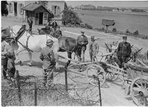 WW 2: swiss farmer at the french border, 1945.