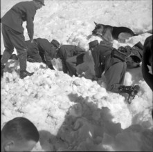 Search party with dog on avalanche, Grindelwald 1951.