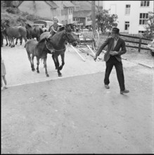 Horse market of Chaindon-Reconvilier, 1952.