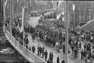 Basle, procession, inauguration of Luzernerring bridge; 1965.