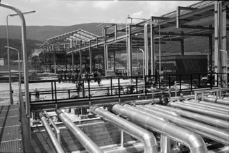 Cressier, Inauguration, Refinery, 1966.