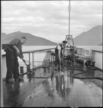 Boatman cleaning the deck after cattle transport, 1941.