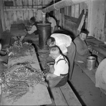 Work place for persons with limited working abilities, 1960.