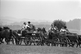 66th Marche-Concours Saignelegier, 1969.