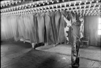 Last Tannery in Romandie, 1973.