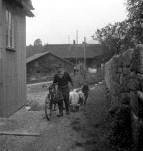 Separation of the sheep in autumn, 1941.