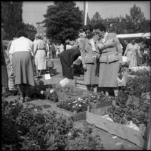 Helvetiaplatz: women at flower market, Zurich 1959.