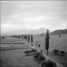 Rheintal near Altstatten, 1954.