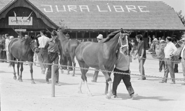 69th Marche-Concours Saignelegier, 1972.