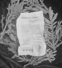 Christmas tribute to Gottlieb Duttweiler, 1941.